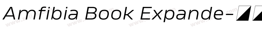 Amfibia Book Expande字体转换